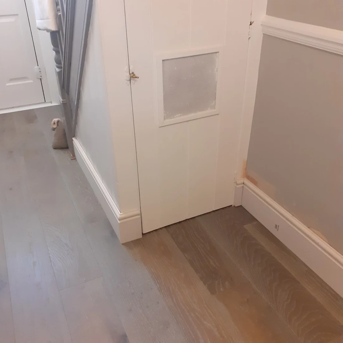 Peter Mooney review project photo